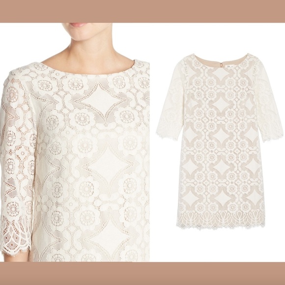 NEW $128 Eliza J Lace‎ Shift Dress in Ivory [ SZ 4 ] - Picture 2 of 12